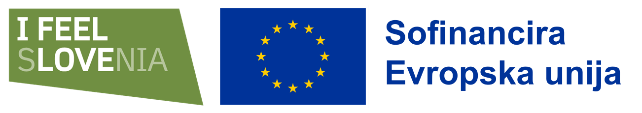 Sofinancira Evropska Unija